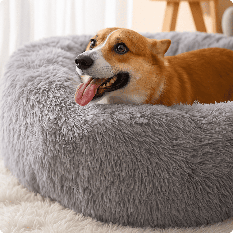 Cama Para Pets Dolce Sonno