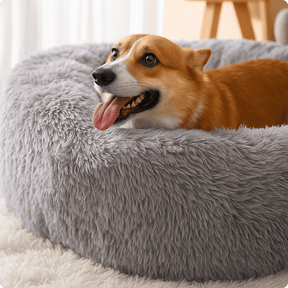 Cama Para Pets Dolce Sonno
