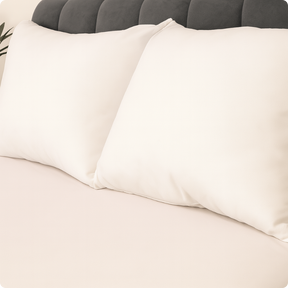 Kit de Travesseiros Pluma de Ganso Antiacaro [Compre 1 e Leve 2]